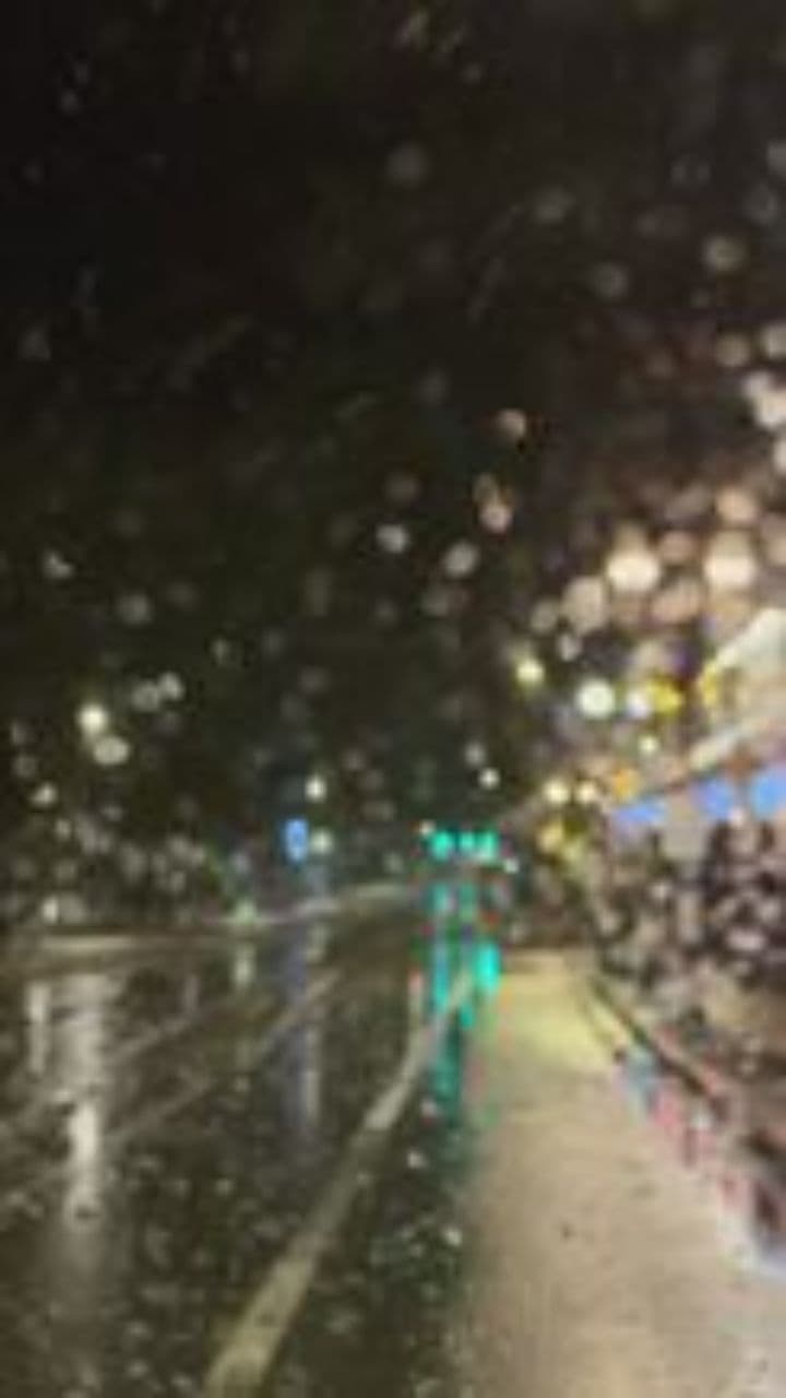 Король гейского прайда