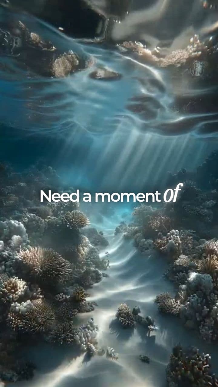 Story - 1) Find Your Moment of Peace