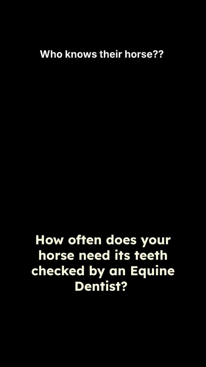 Who knows their horse?? 
