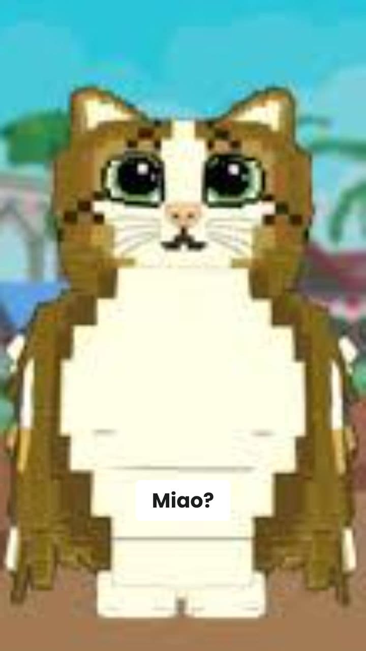 Gattoccio e i Doggos Spaghetti