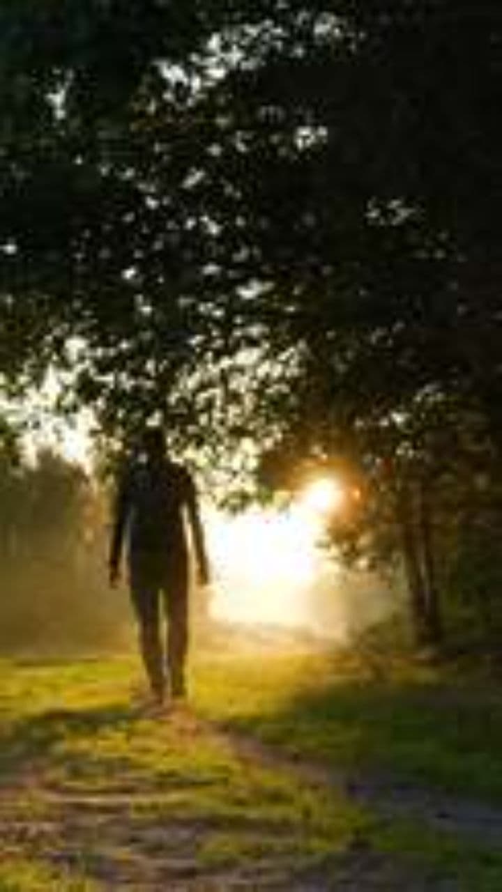 Choose Love, Choose Light