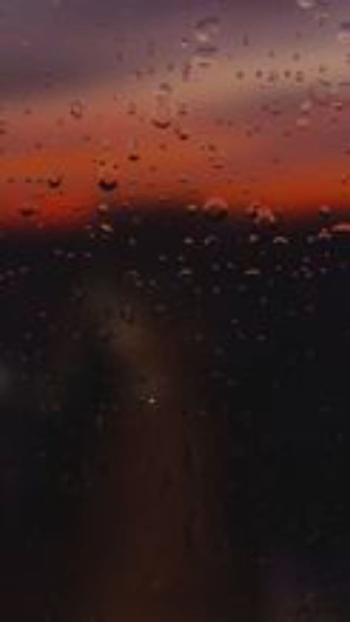 Из выживания в жизнь