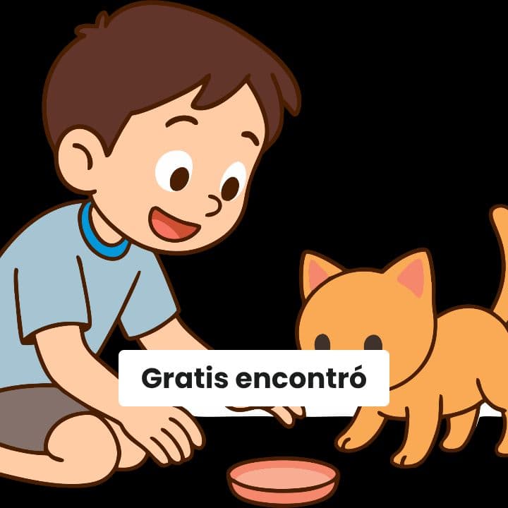 La magia de un encuentro feliz