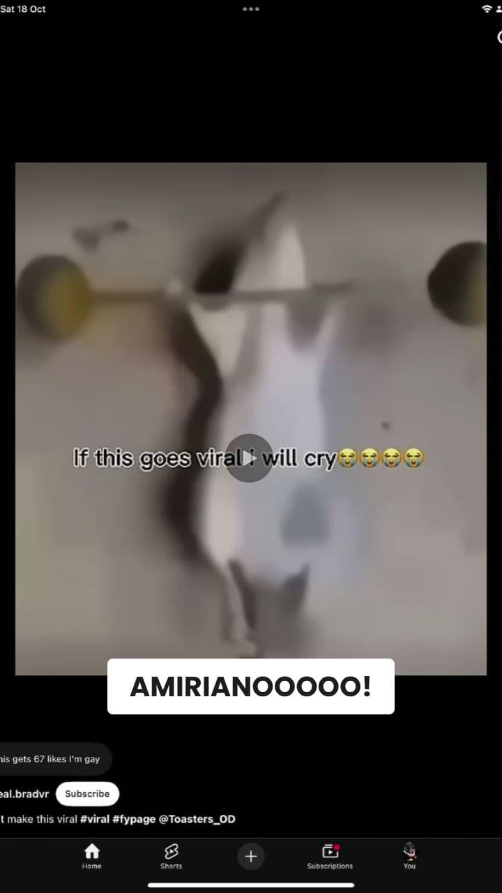 Anatra-Regalo-Aereo: The Monkey Menace