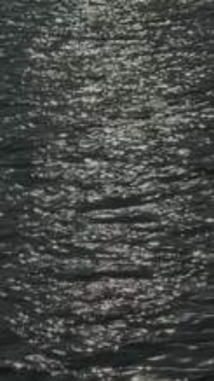 Călătorie pe valuri de iubire