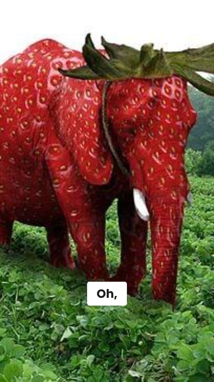 Kalashnikopasta: Il Mistero Spaghetti-Fucile!