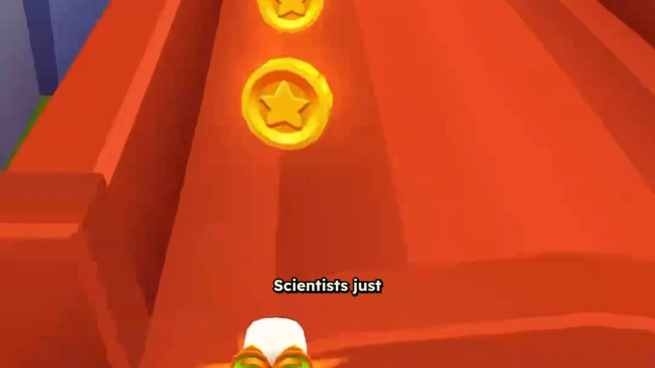 Aging Cells Follow Predictable Gene Circuits