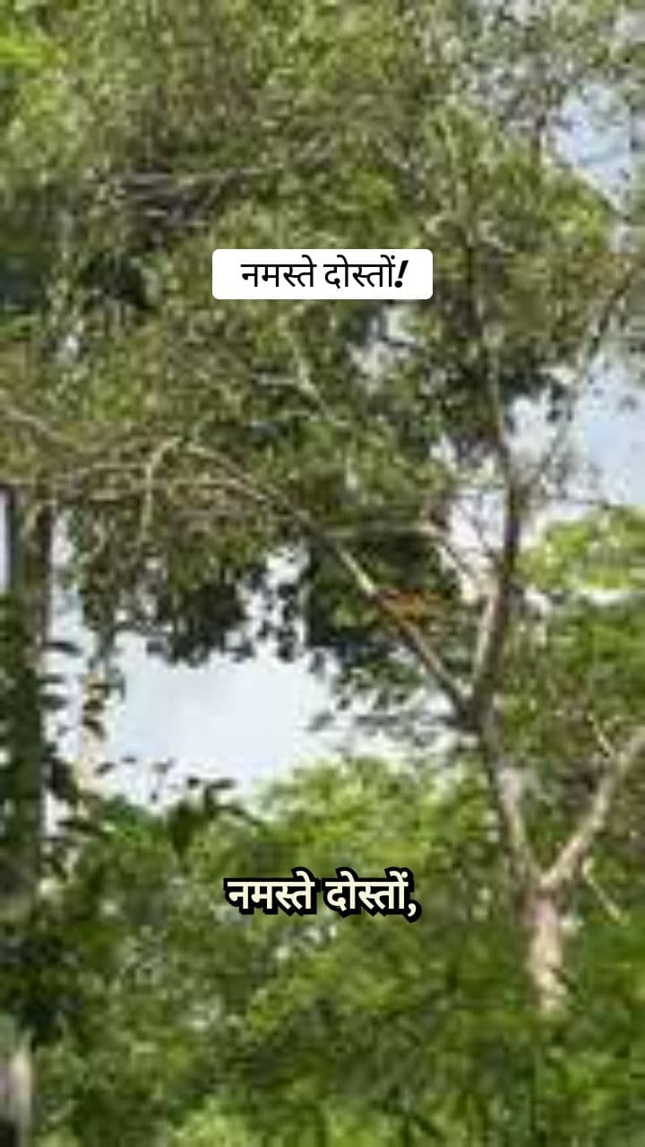 Shararti Raju Bandar