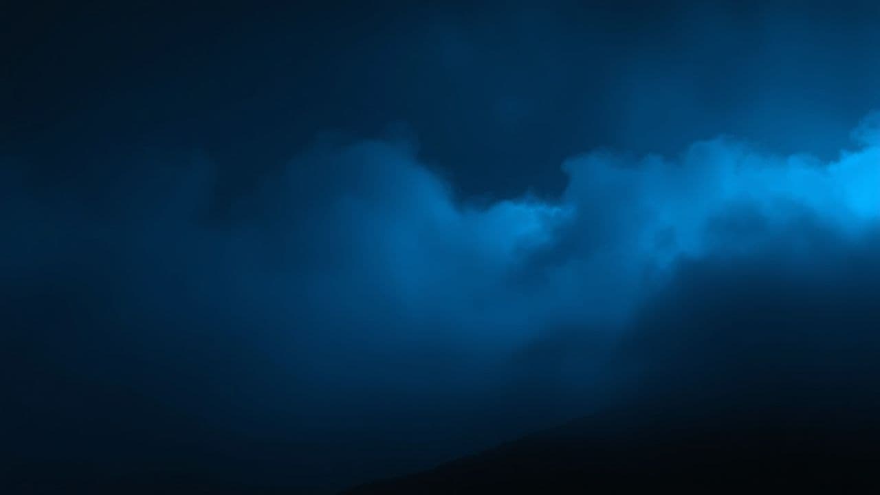 Forever in Our Hearts