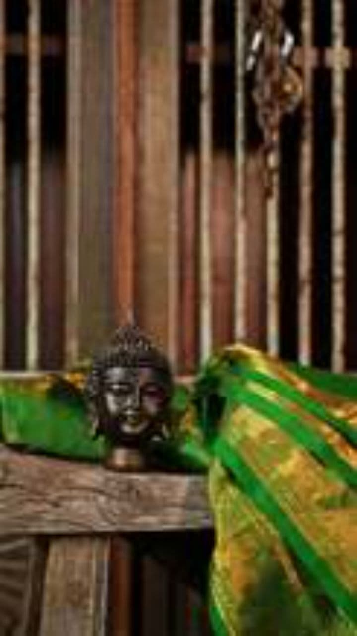 قنديل البحر الذي هزم الزمن