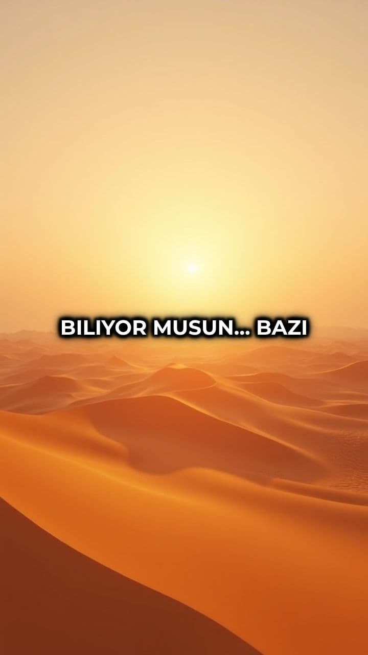 Şükretmenin Gücü