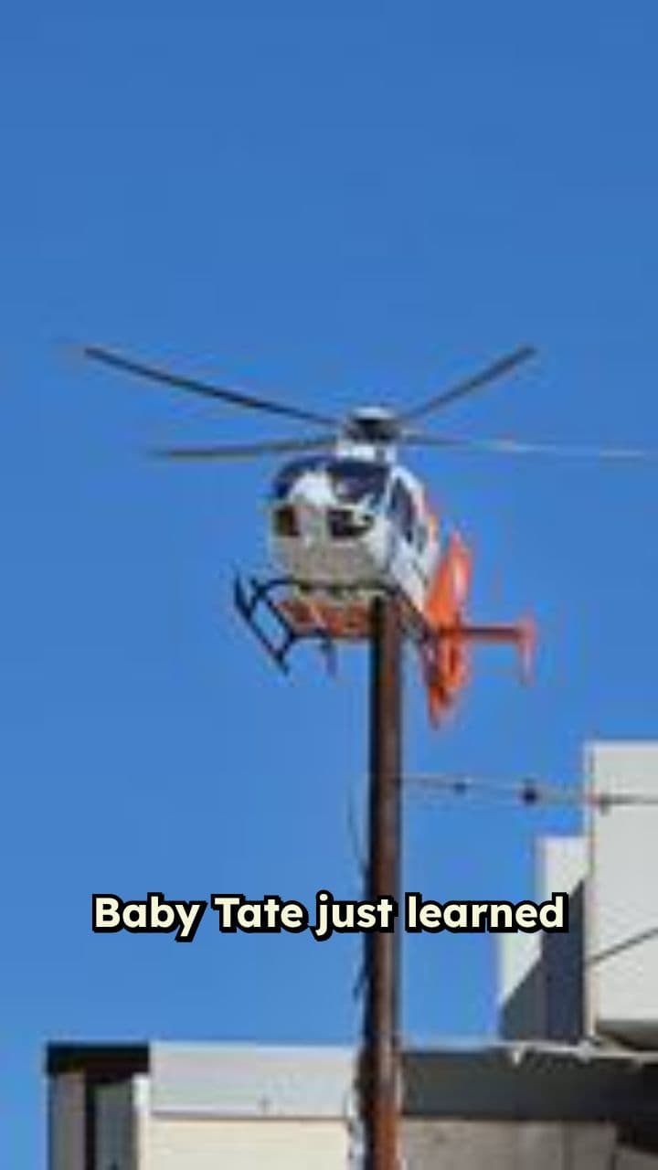 Baby Tate Sparks Madea Controversy Online