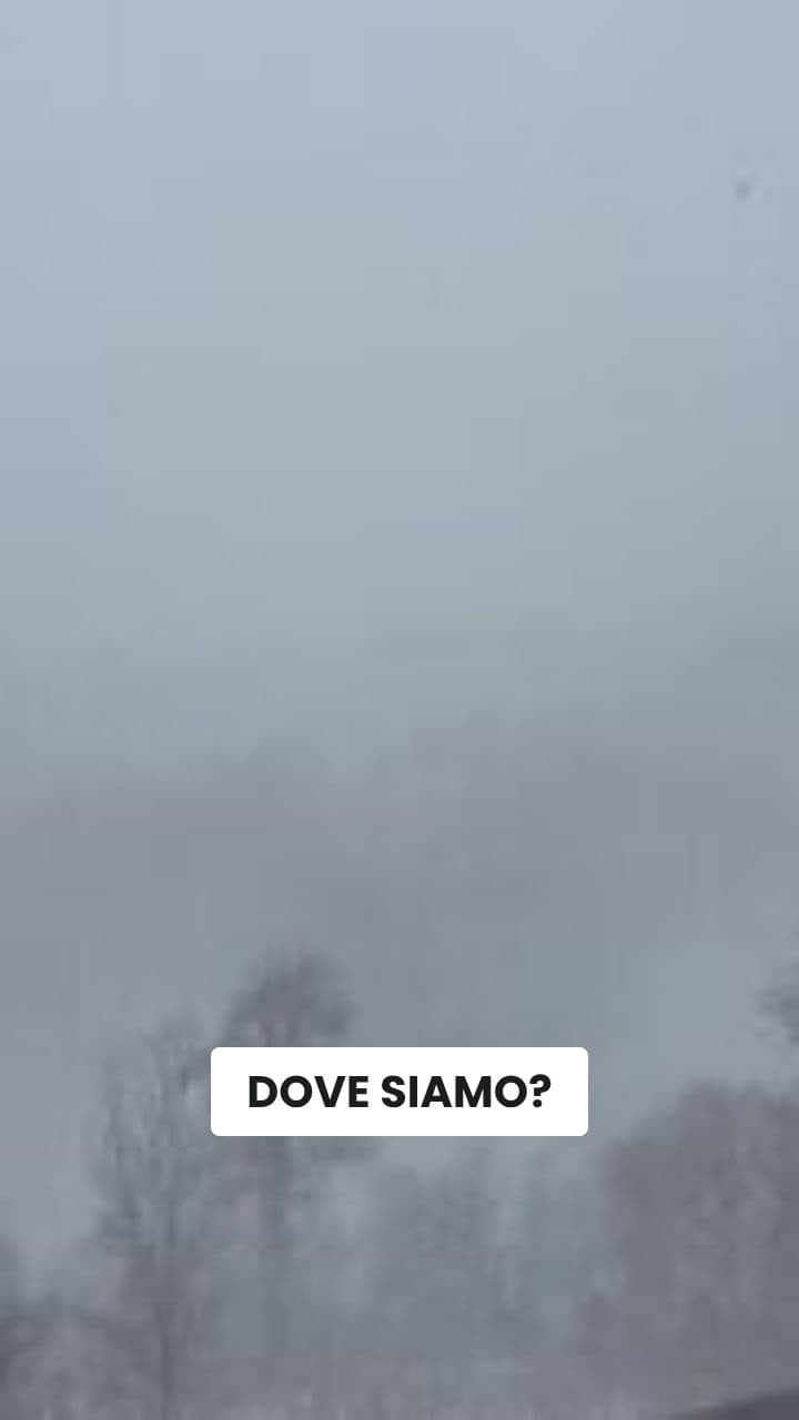 Gattorazzino Volante: L'Odissea Cosmica Brainrot