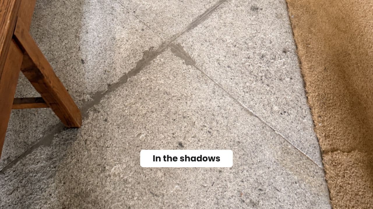 Rise of the Concrete King