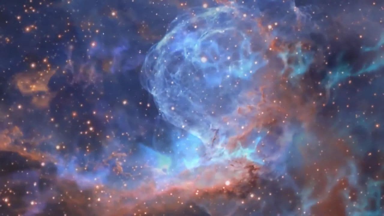 Watching the Detectives