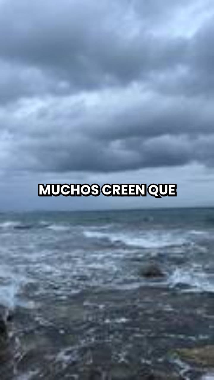 La Verdadera Fuerza del Alfa