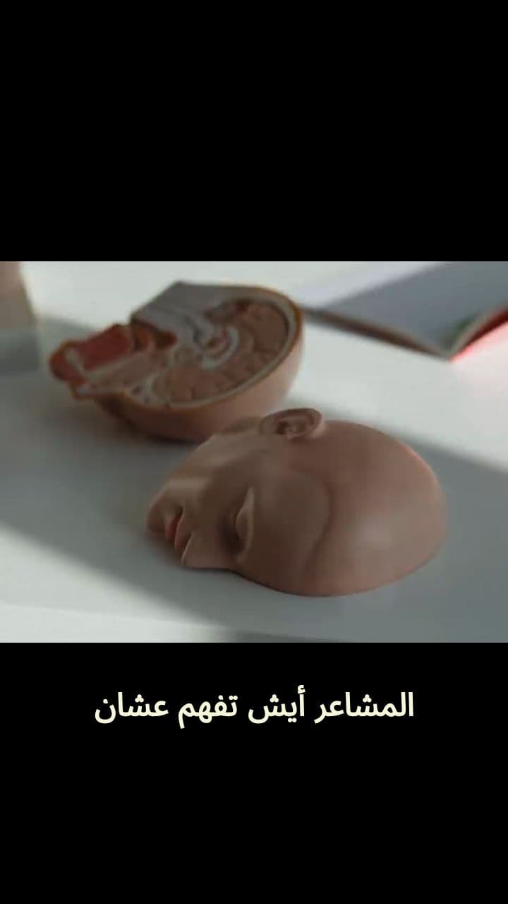 دائرة التسويف: كيف تقع في فخ تأجيل المهام؟