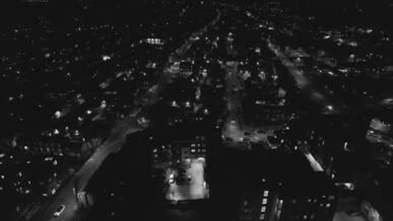 언니들이랑 Go Wild