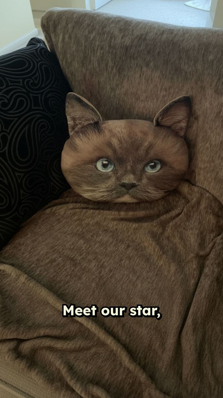 The Bobbing Cat Pillow