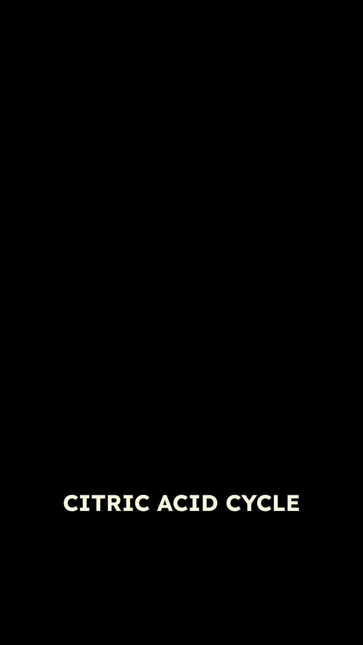 Acetyl-CoA Production in Mitochondria