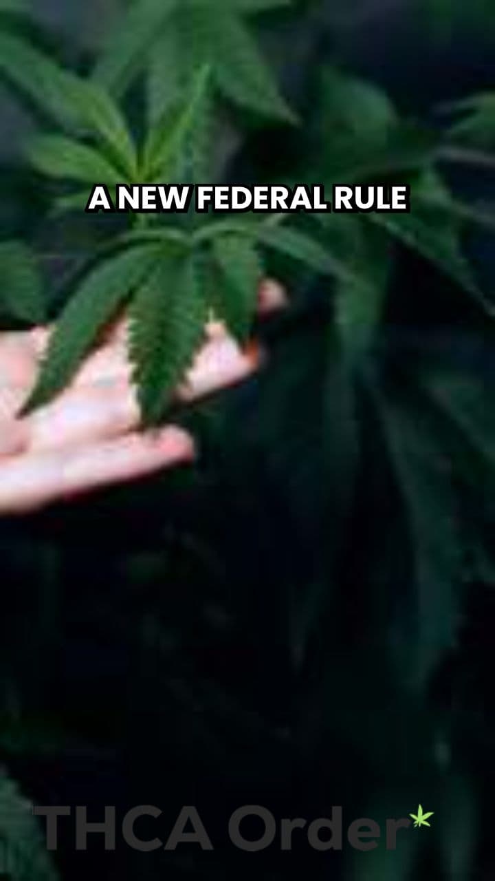 New Rule Threatens Hemp THC Industry