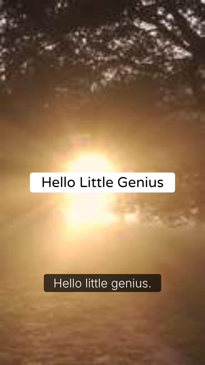 Little Genius English - ABC Magic World