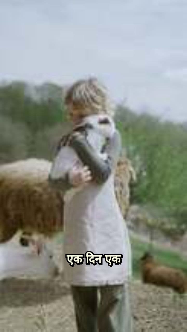 खरगोश और मूली का खेत